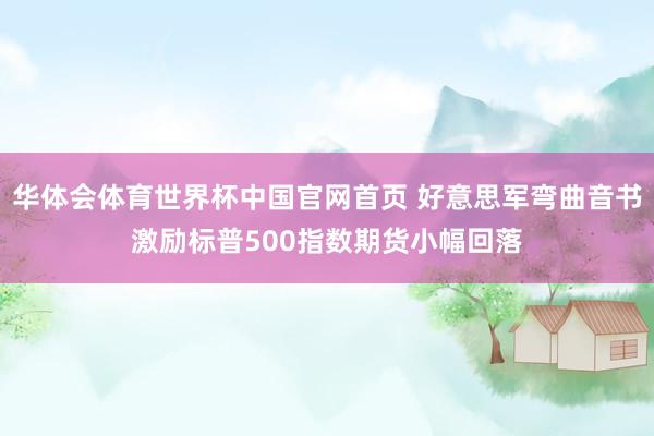 华体会体育世界杯中国官网首页 好意思军弯曲音书激励标普500指数期货小幅回落