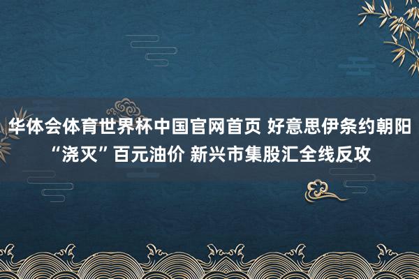 华体会体育世界杯中国官网首页 好意思伊条约朝阳“浇灭”百元油价 新兴市集股汇全线反攻