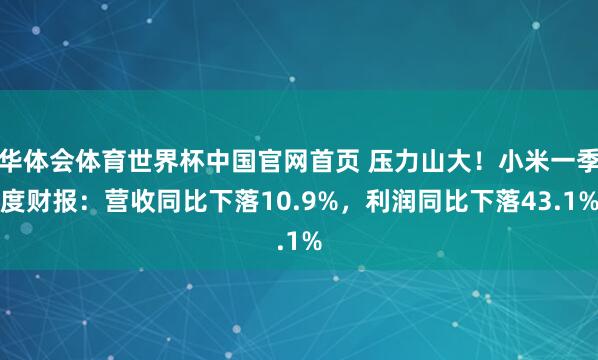 华体会体育世界杯中国官网首页 压力山大！小米一季度财报：营收同比下落10.9%，利润同比下落43.1%