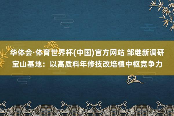 华体会·体育世界杯(中国)官方网站 邹继新调研宝山基地：以高质料年修技改培植中枢竞争力