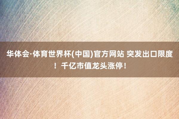 华体会·体育世界杯(中国)官方网站 突发出口限度！千亿市值龙头涨停！
