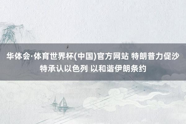 华体会·体育世界杯(中国)官方网站 特朗普力促沙特承认以色列 以和谐伊朗条约