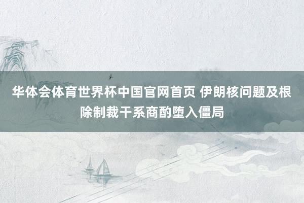华体会体育世界杯中国官网首页 伊朗核问题及根除制裁干系商酌堕入僵局