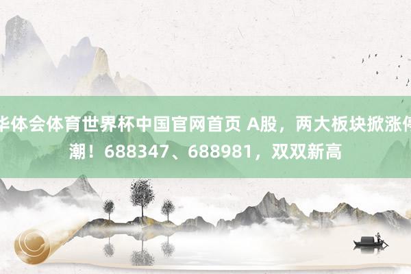 华体会体育世界杯中国官网首页 A股，两大板块掀涨停潮！688347、688981，双双新高