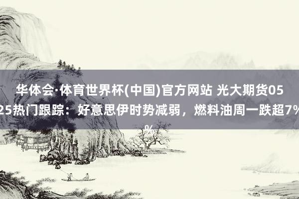 华体会·体育世界杯(中国)官方网站 光大期货0525热门跟踪：好意思伊时势减弱，燃料油周一跌超7%