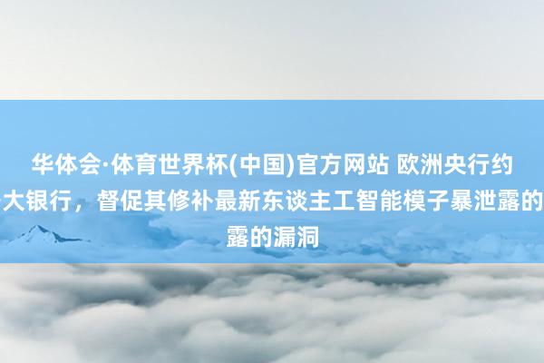 华体会·体育世界杯(中国)官方网站 欧洲央行约谈各大银行，督促其修补最新东谈主工智能模子暴泄露的漏洞