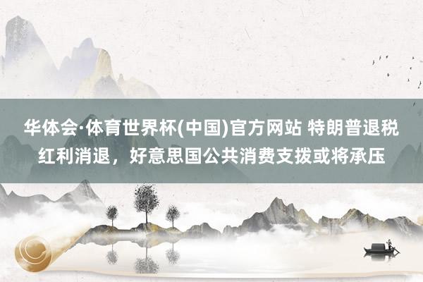 华体会·体育世界杯(中国)官方网站 特朗普退税红利消退，好意思国公共消费支拨或将承压