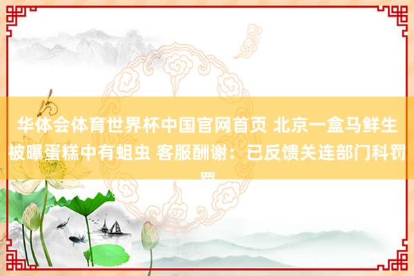 华体会体育世界杯中国官网首页 北京一盒马鲜生被曝蛋糕中有蛆虫 客服酬谢：已反馈关连部门科罚