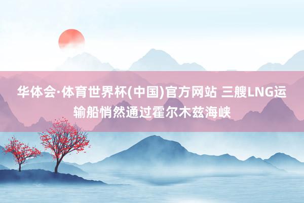 华体会·体育世界杯(中国)官方网站 三艘LNG运输船悄然通过霍尔木兹海峡