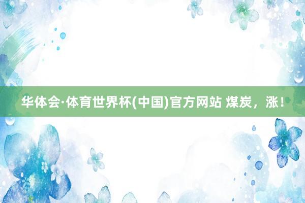 华体会·体育世界杯(中国)官方网站 煤炭，涨！