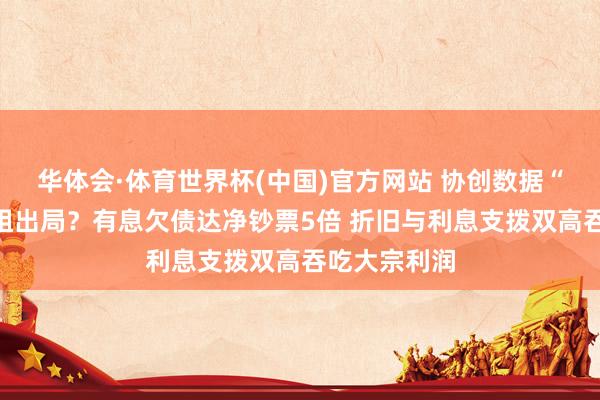 华体会·体育世界杯(中国)官方网站 协创数据“豪赌”算力租出局？有息欠债达净钞票5倍 折旧与利息支拨双高吞吃大宗利润