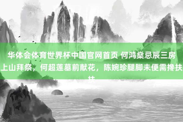 华体会体育世界杯中国官网首页 何鸿燊忌辰三房上山拜祭，何超莲墓前献花，陈婉珍腿脚未便需搀扶