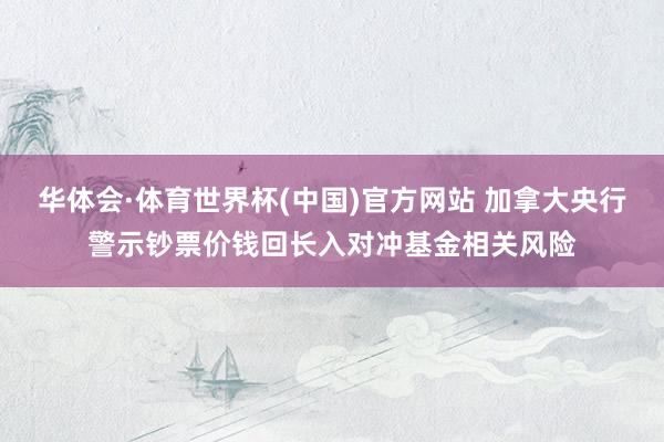 华体会·体育世界杯(中国)官方网站 加拿大央行警示钞票价钱回长入对冲基金相关风险