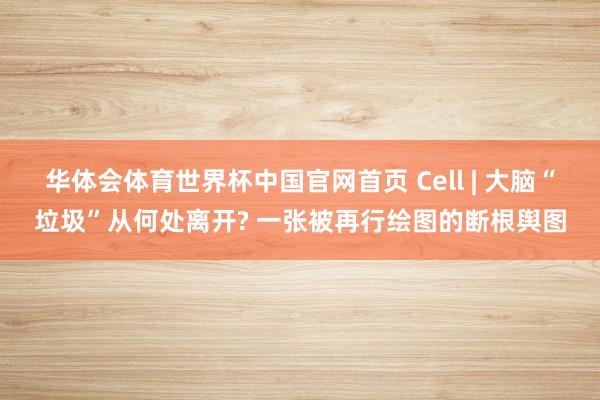 华体会体育世界杯中国官网首页 Cell | 大脑“垃圾”从何处离开? 一张被再行绘图的断根舆图