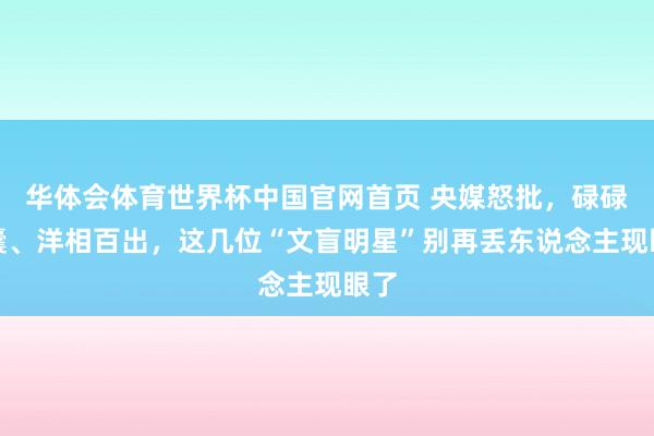 华体会体育世界杯中国官网首页 央媒怒批，碌碌窝囊、洋相百出，这几位“文盲明星”别再丢东说念主现眼了