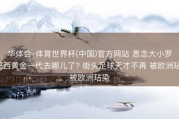 华体会·体育世界杯(中国)官方网站 思念大小罗! 巴西黄金一代去哪儿了? 街头足球天才不再 被欧洲玷染