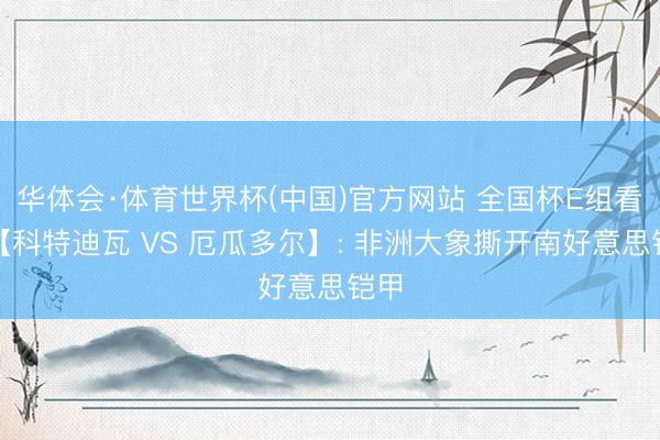 华体会·体育世界杯(中国)官方网站 全国杯E组看点【科特迪瓦 VS 厄瓜多尔】: 非洲大象撕开南好意思铠甲