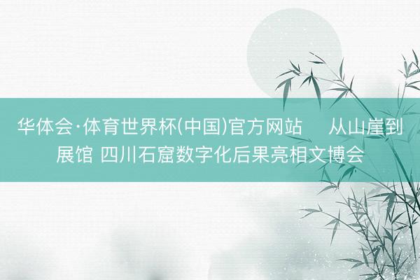 华体会·体育世界杯(中国)官方网站 ​从山崖到展馆 四川石窟数字化后果亮相文博会