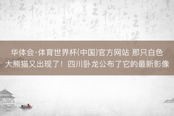 华体会·体育世界杯(中国)官方网站 那只白色大熊猫又出现了！四川卧龙公布了它的最新影像