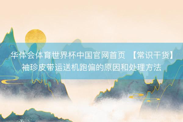 华体会体育世界杯中国官网首页 【常识干货】袖珍皮带运送机跑偏的原因和处理方法